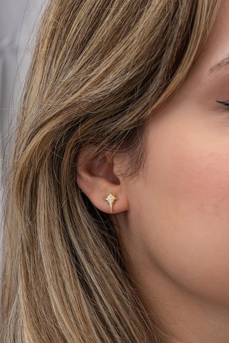 Heliophilia Silver NRZ999568 Pendientes de Plata de Ley 925 con Baño de Oro y Circon